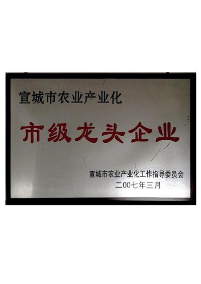 市級龍頭企業(yè)